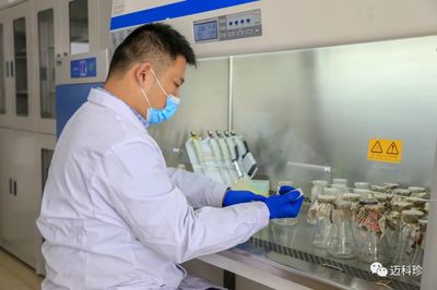 探析山东迈科珍生物科技 技术创新与产业发展的融合之路