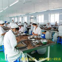辽宁长白仙子生物科技 以科技之力，解码长白山的自然密码